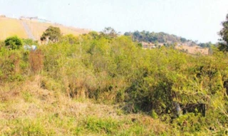 Imóvel 2647943 [''] - ['Sítio Cachoeira (BR 491), S/N, Zona Rural, Monte Belo , MG, 37115-000, , Monte Belo/MG'] [''] - ['Monte Belo']/['MG'] - 1