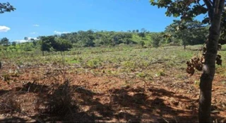 Imóvel 2369543 [''] - ['RODOVIA BR-153 -, S/N, ZONA RURAL'] [''] - ['Jaraguá']/['GO'] - 1