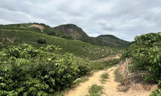 Imóvel 2809543 [''] - ['SÍTIO SANTO ANTÔNIO ALTO ROCHEDO, DISTRITO DE ÁGUAS CLARAS'] [''] - ['Águia Branca']/['ES'] - 1