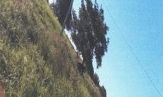 Imóvel 2762743 [''] - ['Fazenda Sítio Boa Esperança, distrito de São José das Traíras'] [''] - ['Manga']/['MG'] - 1