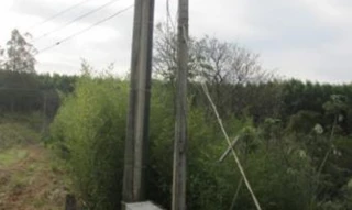 Imóvel 2615643 [''] - ['Fazenda Val de Palmas, Seção Barroca, no 2º subdistrito'] [''] - ['Avaí']/['SP'] - 1