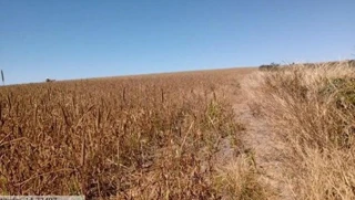 Imóvel 2674143 [''] - ["Sítio D'Abadia, GO"] [''] - ["Sítio D'Abadia"]/['GO'] - 1