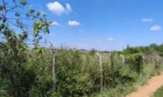 Imóvel 2827444 [''] - ['Fazenda Ponte Alta, com a denominação de CHÁCARA BOA VISTA'] [''] - ['Novo Horizonte']/['SP'] - 1
