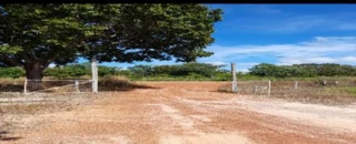 Imóvel 2369544 [''] - ['FAZENDA FOLHA LARGA, GLEBA A, NA DATA CAMPO LARGO, S/N, ZONA RURAL'] [''] - ['Campo Largo']/['PR'] - 1