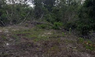 Imóvel 2683644 [''] - ['FAZENDA LARGA OU LARGA DO ZÉ JANUÁRIO - GLEBA 02'] [''] - ['Paranã']/['TO'] - 1