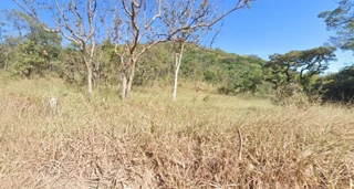 Imóvel 2428044 [''] - ['Fazenda Velha'] [''] - ['Delfinópolis']/['MG'] - 1