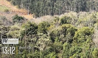 Imóvel 2808644 [''] - ['Lote Rural no 19-A da Gleba no 02 NP, localizada na Linha São Luiz, situado neste município e Comarca de Marmeleiro/PR'] [''] - ['Marmeleiro']/['PR'] - 1