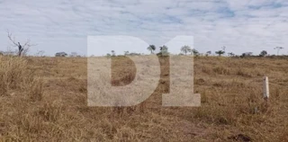 Imóvel 2758444 [''] - ['Acesso pelo KM 4,50 da SP 211, S/N, Fazenda São Geraldo'] [''] - ['São José Do Rio Pardo']/['SP'] - 1