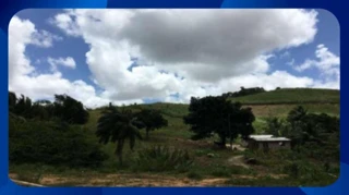 Imóvel 2634345 [''] - ['FAZENDA - Engenho Cachoeira'] [''] - ['Ipojuca']/['PE'] - 1