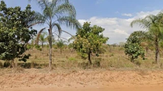 Imóvel 2732945 [''] - ['DISTRITO DE CACHOEIRA DE EMAS'] [''] - ['Pirassununga']/['SP'] - 1