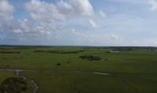 Imóvel 2759645 [''] - ['Gleba Bela Vista, Zona Rural do Município de Calçoene'] [''] - ['Calçoene']/['AP'] - 1