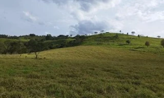 Imóvel 2643145 [''] - ['localidade de barreiro grande'] ['São Francisco'] - ['Laranjeiras Do Sul']/['PR'] - 1