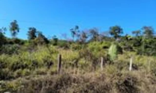 Imóvel 2807845 [''] - ['Lote 28 do Projeto de Assentamento Dirigido Marechal Dutra, Gleba 16, Rio Crespo/RO'] [''] - ['Rio Crespo']/['RO'] - 1