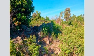 Imóvel 2454146 [''] - ['Nao informado Nao informado Fazenda Pedra Grande'] [''] - ['Formosa Da Serra Negra']/['MA'] - 1