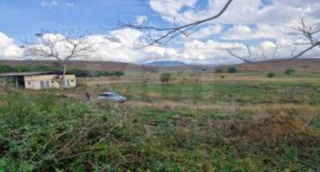 Imóvel 2765246 [''] - ['Fazenda Pombal, - Guidoval - MG'] [''] - ['Guidoval']/['MG'] - 1