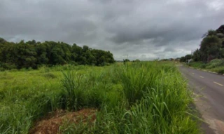 Imóvel 2749446 [''] - ['Fazenda Flôres, s/n, Gleba 1, Mineiros, GO, 75830-000, , Mineiros/GO'] [''] - ['Mineiros']/['GO'] - 1