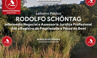 Imóvel 2366346 [''] - ['Pratinha, em Uruçuí'] [''] - ['Uruçuí']/['PI'] - 1