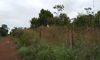 Imóvel 2525446 [''] - ['Rua VP 3D, Distrito Agroindustrial de Anápolis - Anápolis - GO'] ['Distrito Agro-Industrial de Anápolis (D A I A)'] - ['Anápolis']/['GO'] - 1