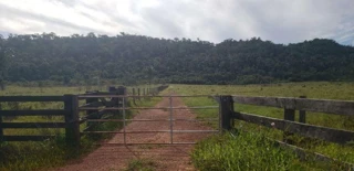 Imóvel 2382646 [''] - ['Lote de terras nº 76 da Gleba Nº A, denominado Sítio Nacional - Guajará Mirim/RO'] [''] - ['Guajará-Mirim']/['RO'] - 1