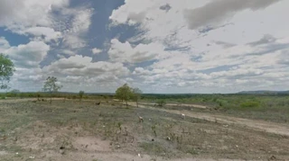 Imóvel 2341746 [''] - ['Canapi , S/N , Fazenda Lage'] [''] - ['Canapi']/['AL'] - 1
