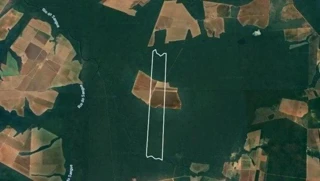 Imóvel 2690246 [''] - ['Fazenda Primavera V, Nova Maringá, MT'] [''] - ['Nova Maringá']/['MT'] - 1