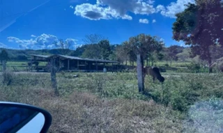 Imóvel 2324146 [''] - ['Lote rural n. 46-A-1, da gleba 68, do PIC/PAR'] [''] - ['Cerejeiras']/['RO'] - 1