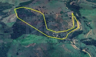 Imóvel 2820546 [''] - ['Santo Antônio das Palmeiras, - Divino - MG'] [''] - ['Divino']/['MG'] - 1