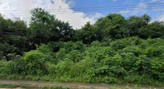 Imóvel 2807946 [''] - ['FAZENDA BARRA DO ONÇA'] [''] - ['Governador Valadares']/['MG'] - 1