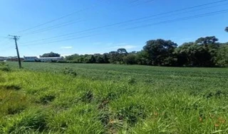 Imóvel 2475446 [''] - ['Km 238 da BR 277, Nhapindazal'] [''] - ['Irati']/['PR'] - 1