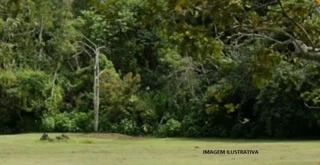 Imóvel 2654747 [''] - [''] [''] - ['São Gonçalo']/['RJ'] - 1