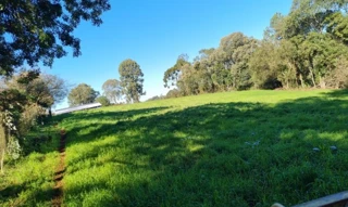 Imóvel 2758747 [''] - ['Chácara n.º 24, do Loteamento Gleba Erechim, Rua Carlos Corradi'] [''] - ['Erechim']/['RS'] - 1