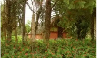 Imóvel 2509847 [''] - ['Avenida das Primaveras, S/n - Chácara, nº 01 da Quadra 04 - Alpes das Águas - São Pedro / SP'] ['Alpes das Águas'] - ['São Pedro']/['SP'] - 1