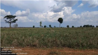 Imóvel 2692047 [''] - ['UM LOTE DE TERRAS SOB Nº 29, COM A ÁREA DE 12,10 HA, DA SUBDIVISÃO DA GLEBA MASSAPÉ 2'] [''] - ['São José Do Rio Claro']/['MT'] - 1