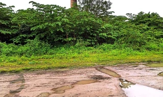 Imóvel 2512647 [''] - ['ESTRADA DA USINA MURIBECA, ANTIGA USINA MURIBECA'] [''] - ['Jaboatão Dos Guararapes']/['PE'] - 1