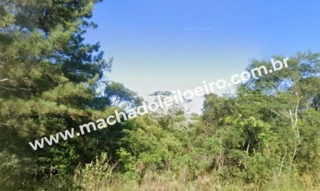 Imóvel 2510748 [''] - ['Rodovia BR-153, s/n'] [''] - ['Erechim']/['RS'] - 1