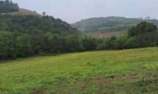 Imóvel 2487748 [''] - ['Linha Baixo Xaxim'] [''] - ['Jaboticaba']/['RS'] - 1