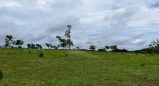 Imóvel 2562548 [''] - ['FAZENDA BOLÍVIA'] [''] - ['Cabeceira Grande']/['MG'] - 1