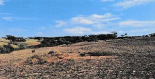 Imóvel 2456348 [''] - ['Fazenda Santa Rita, lugar denominado Estreito, saída da cidade de Vianópolis pela GO 139, KM 9, a esquerda 10 km'] [''] - ['Vianópolis']/['GO'] - 1