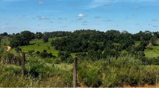 Imóvel 2508148 [''] - ['Sítio Três Coqueiros, s/n, Zona Rural (Lado Norte), Água Vermelha, Potirendaba/SP'] [''] - ['Potirendaba']/['SP'] - 1