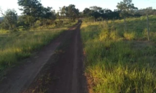 Imóvel 2556748 [''] - ['FAZENDA PRATA DOS NETOS, CERRADO'] [''] - ['Presidente Olegário']/['MG'] - 1