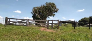 Imóvel 2746648 [''] - ['Lote Rural 18-Remanescente, da Gleba 16-C do Projeto Integrado de Colonização Ouro Preto'] ['Jardim Aeroporto'] - ['Ouro Preto Do Oeste']/['RO'] - 1