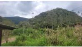 Imóvel 2742448 [''] - ['Encano-Alto'] ['Encano'] - ['Indaial']/['SC'] - 1