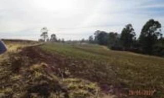 Imóvel 2834949 [''] - ['Fazenda Rex, situado na confluência do Córrego do Areão com o Córrego José Paulino'] [''] - ['Poços De Caldas']/['MG'] - 1