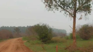 Imóvel 2498849 [''] - ['Ac Cachoeira do Sul, S/N'] [''] - ['Cachoeira Do Sul']/['RS'] - 1