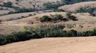 Imóvel 2591149 [''] - ['Fazenda Sapé, Pindaíbas, distrito de Chumbo'] [''] - ['Patos De Minas']/['MG'] - 1