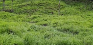 Imóvel 2572649 [''] - ['POVOADO PEDRO MIGUEL, ZONA RURAL DE SANTA LUZIA-MA'] [''] - ['Santa Luzia']/['MA'] - 1