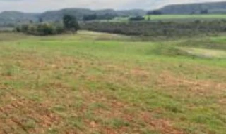 Imóvel 2773849 [''] - ['Sem denominação, S/N, Chácara das Figueiras, Zona Rural, Rosário do Sul, RS, CEP: 97590-000'] [''] - ['Rosário do Sul']/['RS'] - 1