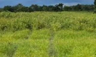 Imóvel 2886849 [''] - ['Fazenda Queixada'] [''] - ['Santa Fé De Goiás']/['GO'] - 1