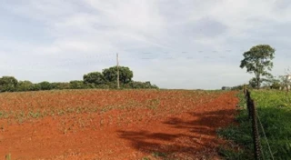 Imóvel 2703549 [''] - ['FAZENDA MATA BURROS'] [''] - ['Patos De Minas']/['MG'] - 1