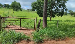 Imóvel 2382649 [''] - ['Fazenda Bebedouro II e Vereda - São João da Ponte/MG'] [''] - ['São João Da Ponte']/['MG'] - 1